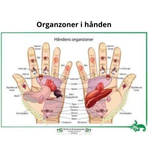 Organzoner i hnden