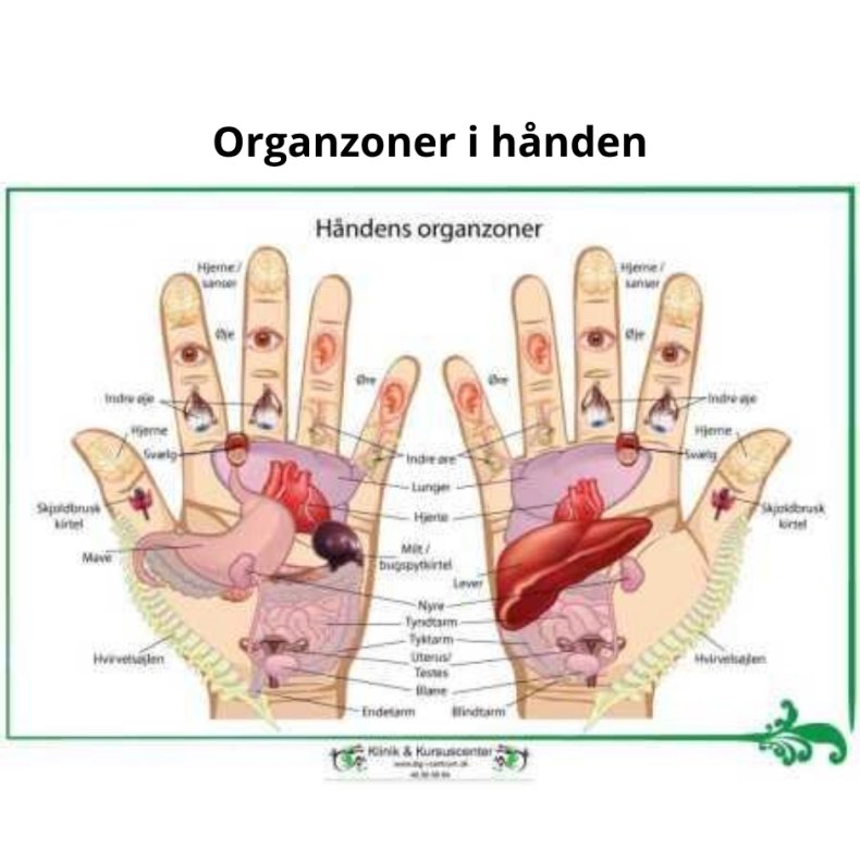 Organzoner i hnden