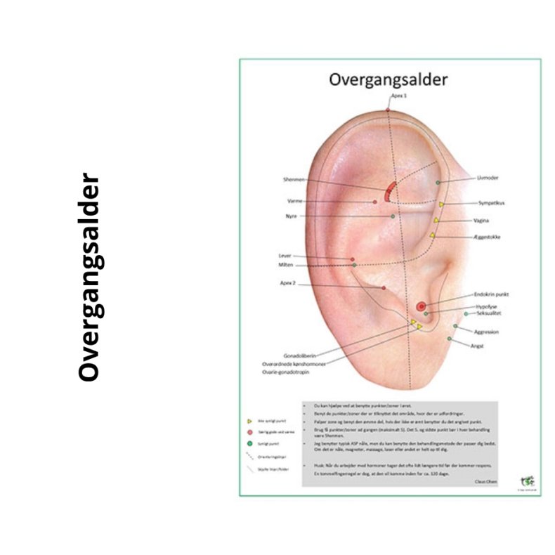 Overgangsalder punkter i ret
