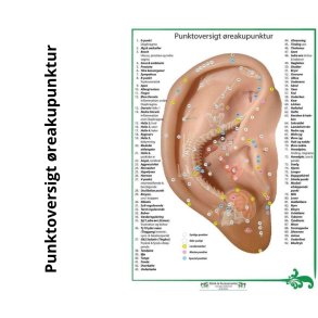 Punktoversigt til reakupunktur