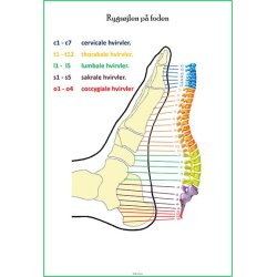 Rygsjlen p foden (for og bagside)