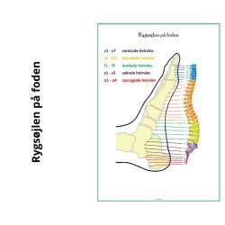 Rygsjlen p foden (for og bagside)
