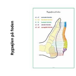 Rygsjlen p foden (for og bagside)