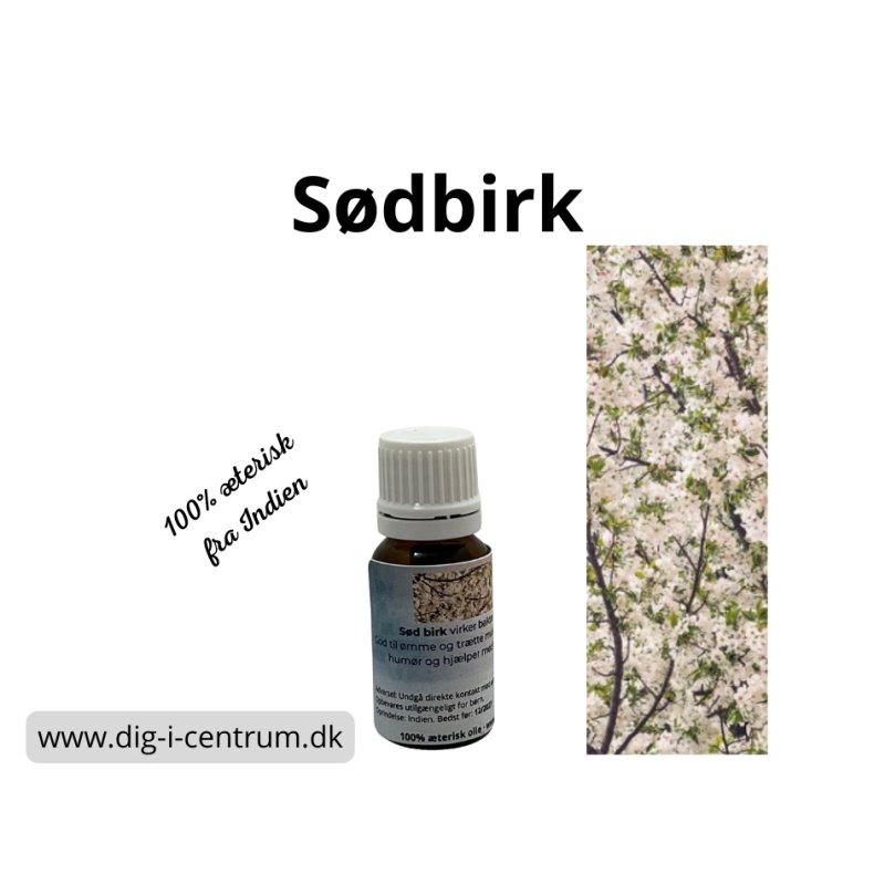 sd birk 100% terisk olie