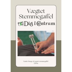 Vgtet stemmegaffel 128 hz