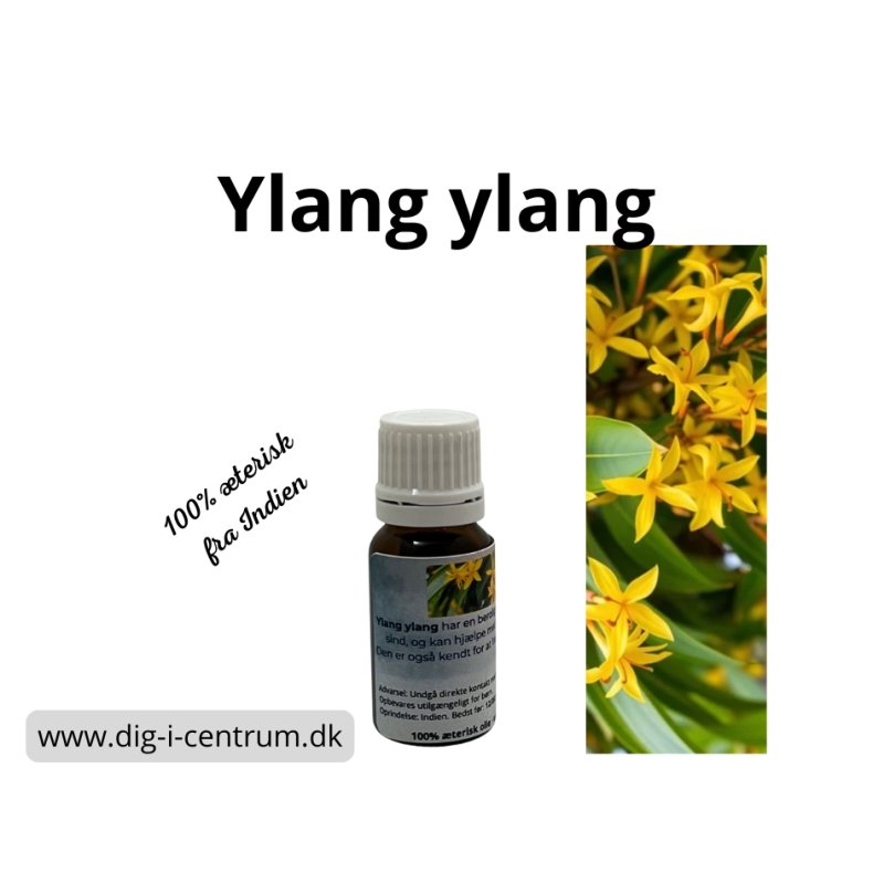 Ylang-Ylang 100% terisk olie