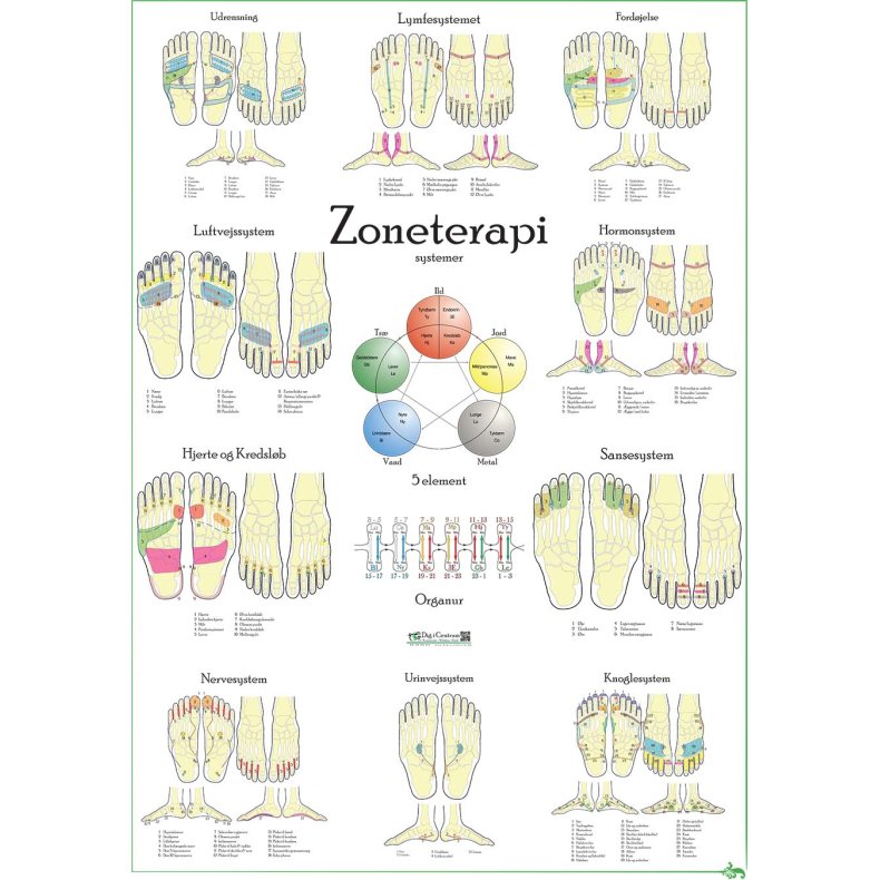 Zoneterapi