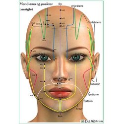 Meridianer og punkter i ansigtet (for/bagside)