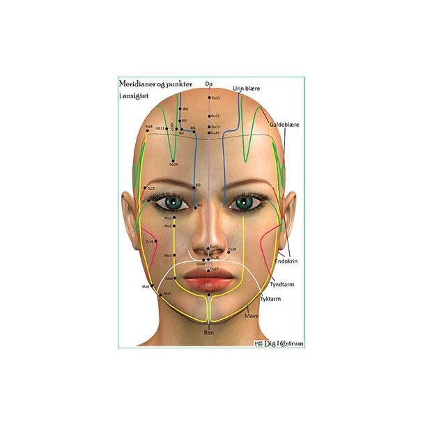 Meridianer og punkter i ansigtet (for/bagside)