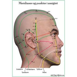 Meridianer og punkter i ansigtet (for/bagside)