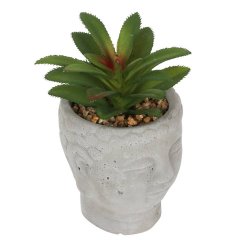 Buddha hoved med plante 