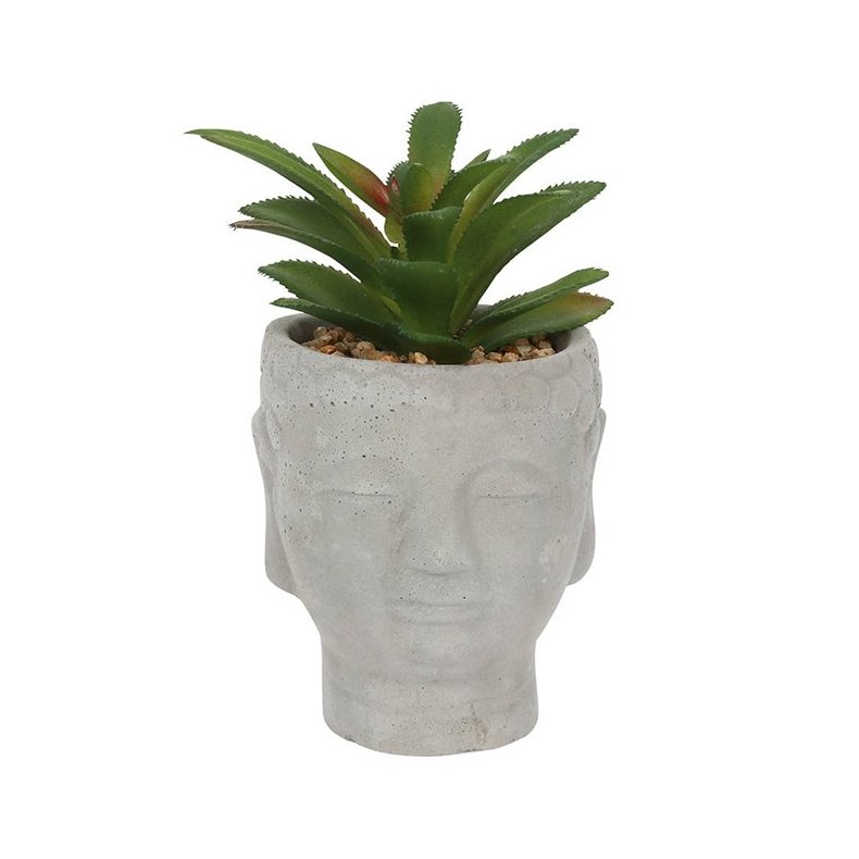 Buddha hoved med plante 