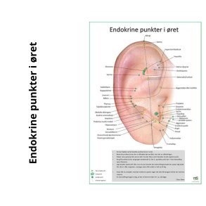 Endokrine (hormon) punkter i ret