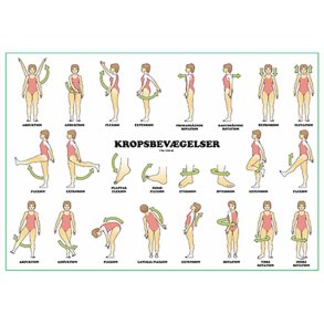 Kropsbev�gelser og retninger � lamineret, tosidet planche