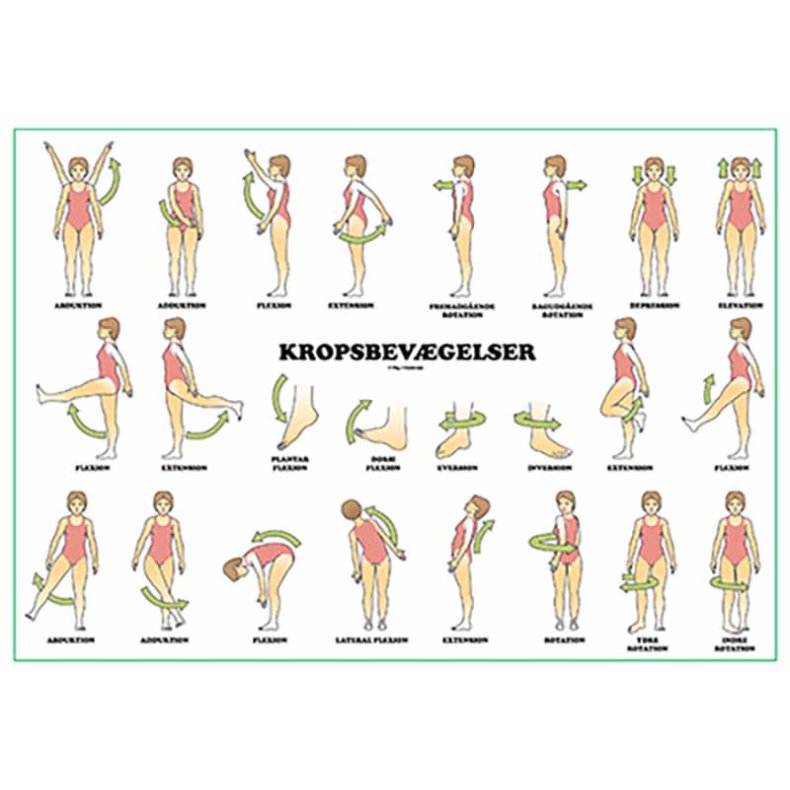 Kropsbev�gelser og retninger � lamineret, tosidet planche