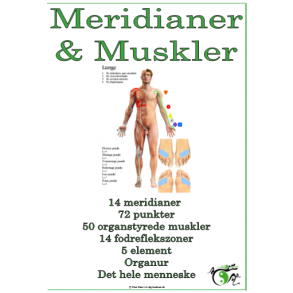 Meridianer & Muskler opslagsbog