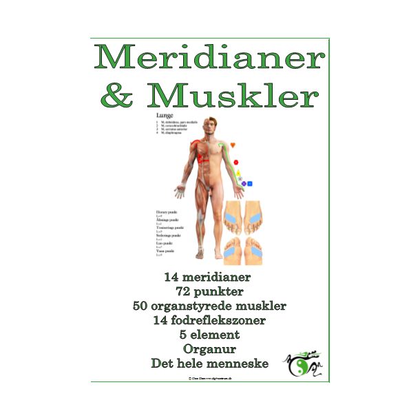 Meridianer &amp; Muskler opslagsbog