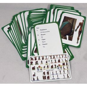 Indlringskort til organstyrede muskler  (45 kort)