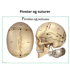 Pivoter og suturer