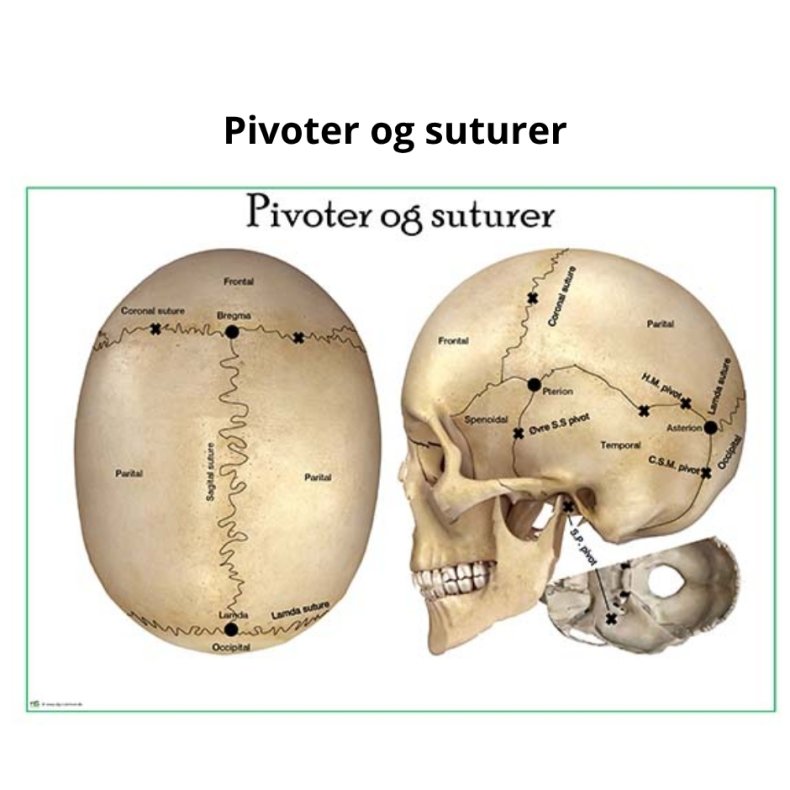 Pivoter og suturer