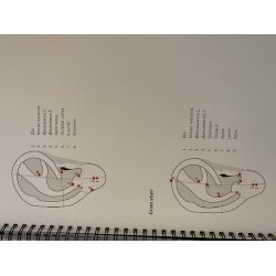 reakupunktur - let fortalt - bog