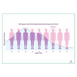 Tidlige tegn p� graviditet og kvindeligt hormon
