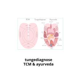 Tungediagnose