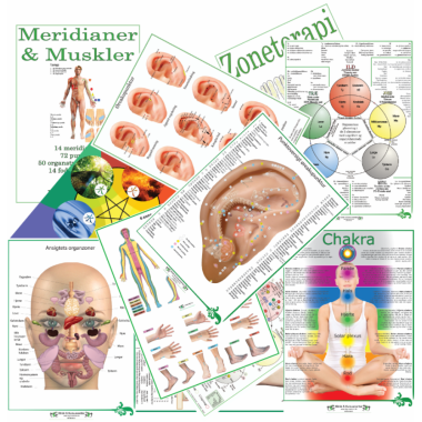 Plancher, bøger og indlæringskort
